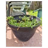 20' Plastic Cauldron Planter