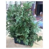 Artificial Bush Designed with Deeply Lobed Lace