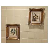 (2) Floral Oil Paintings in Gilded Frames 7x8