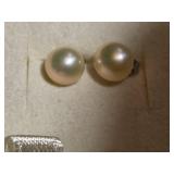 Boxed Borneo Pearl Stud Earrings