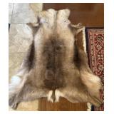 Norwegian Reindeer Fur Hides 31"x52"