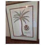 24"ï¿½29" Vintage G.D. Ehret Coconut Palm Tree