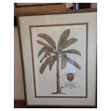 24"ï¿½27" Vintage G.D. Ehret Coconut Palm Tree