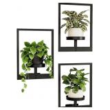 Bamworld Hanging Planters for Indoor Plants