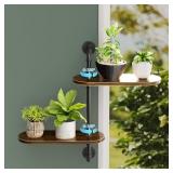 2-Tier Rotating Window Plant Shelf