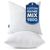 MIULEE Pillow Inserts 22x22 Inch Set of 2