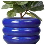 SQOWL Ceramic Plant Pot 13.5 Inch