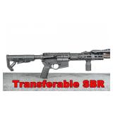 Spikes Tactical Custom Build 30cal 300Blk SBR