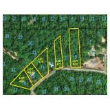 Land Auction: Henry & Houston Co AL