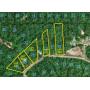 Land Auction: Henry & Houston Co AL