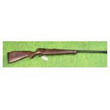 unk 20ga shotgun