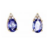 Blue 10kt yellow gold earrings