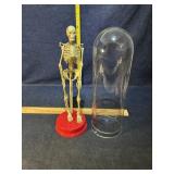 Skeleton Skeleton