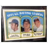 1971 Batting Leaders