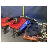 Bags and Fannie packs