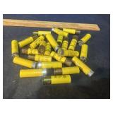Shot gun Shells
