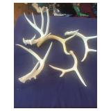 Antlers