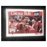 Chicago Bulls 1991 Champs