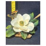 Magnolia, may be missing feelers on butterfly