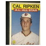 Cal Ripkin