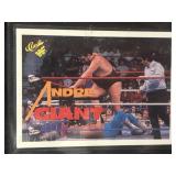 Andre The Giant