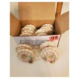 12 Pc Seashell Dec Napkin Holders