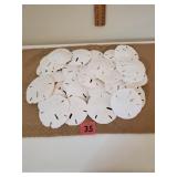 Bunch of Sand Dollars