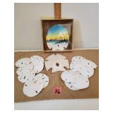 Deco Sand Dollar & More Sand Dollars