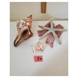 2 Seashells & Star Fish