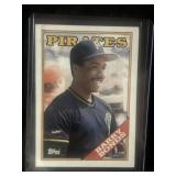 Barry Bonds