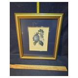 Framed print