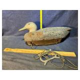 Duck Decoy, the real thing