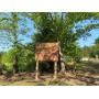 Land, Log Home, & Mineral Interests in Braxton County