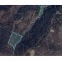 16 Acres in Salt Rock Selling to the Highest Bidder