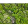 Home, Workshop, & Barn on 4 Private Acres in Mt. Nebo