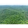 44 Wooded Acres in Wyoming County