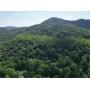 100 Surveyed Acres in Boone County Selling to the Highest Bidder