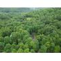 French Creek Cabin & Over 25 Acres on 2 Parcels