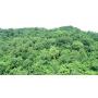 15 Acres in Kanawha County