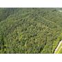 329 Surveyed Acres in Boone County Selling to the Highest Bidder