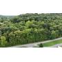 1+ Acre Lot on Green Bag Road in Morgantown