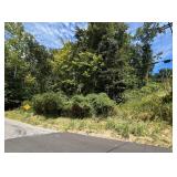 Nearly Half-Acre Lot in South Charleston