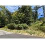 Nearly Half-Acre Lot in South Charleston