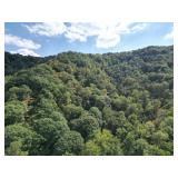 100 Recently Surveyed Acres in Boone County Selling to the Highest Bidder