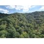 100 Recently Surveyed Acres in Boone County Selling to the Highest Bidder