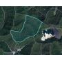 161 Acres in Boone County Selling to the Highest Bidder