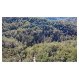 227 Acres of Prime Timber and Hunting Land in Mingo County Selling to the Highest Bidder