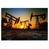 Over 24,500 Acres of Mineral Interests Across 14 Counties in West Virginia