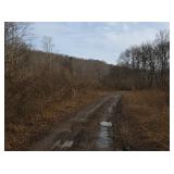 50 Beautiful Acres with Mineral Rights & Native Trout Stream in Nicholas County