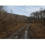 50 Beautiful Acres with Mineral Rights & Native Trout Stream in Nicholas County